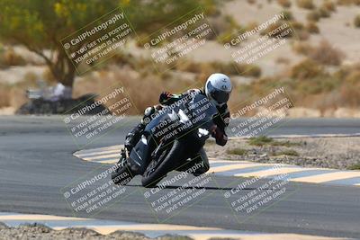 media/Apr-10-2022-SoCal Trackdays (Sun) [[f104b12566]]/Turn 5 Tree of Life (1040am)/